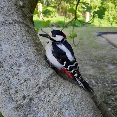 Σπίτι διακοπών Du Grand Val *