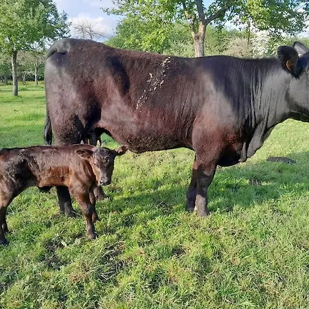 Σπίτι διακοπών Du Grand Val *