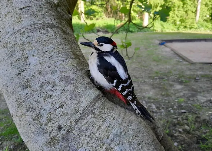 Holiday home Du Grand Val *