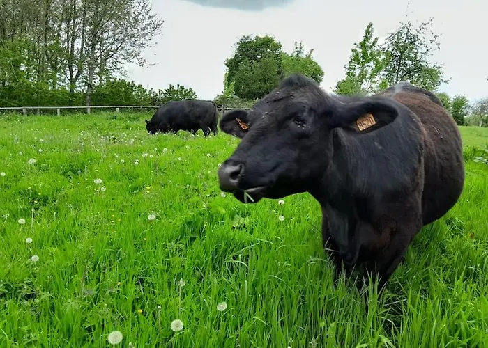 Du Grand Val * Champosoult