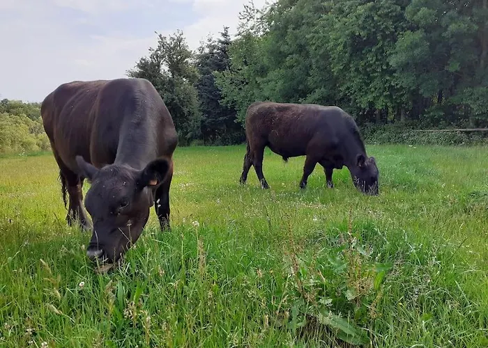 Holiday home Du Grand Val *